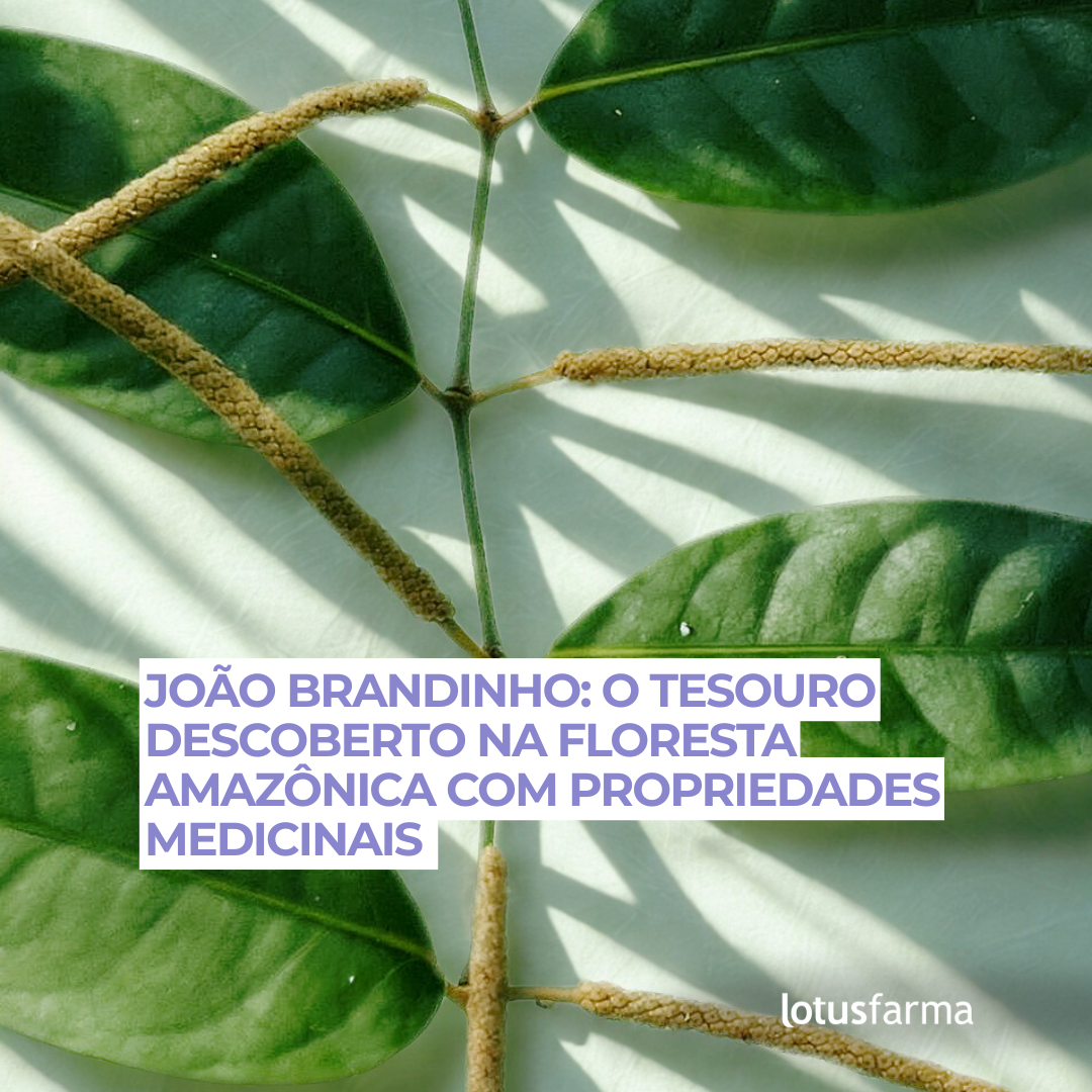 João Brandinho: O Tesouro descoberto na Floresta Amazônica com Propriedades Medicinais